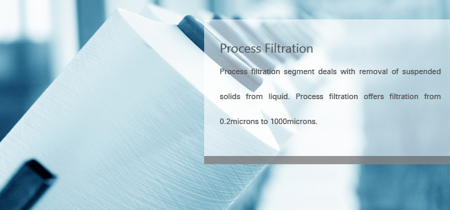 Process Filtration